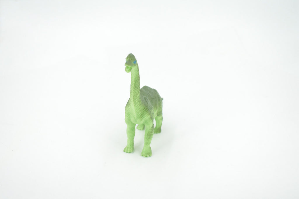 Brontosaurus, Herbivorous Sauropod Dinosaur, High Quality, Hand Painted, Rubber, Realistic, Figure, Model, Replica, Toy, Kids, Educational, Gift,    6"   RI18 B166