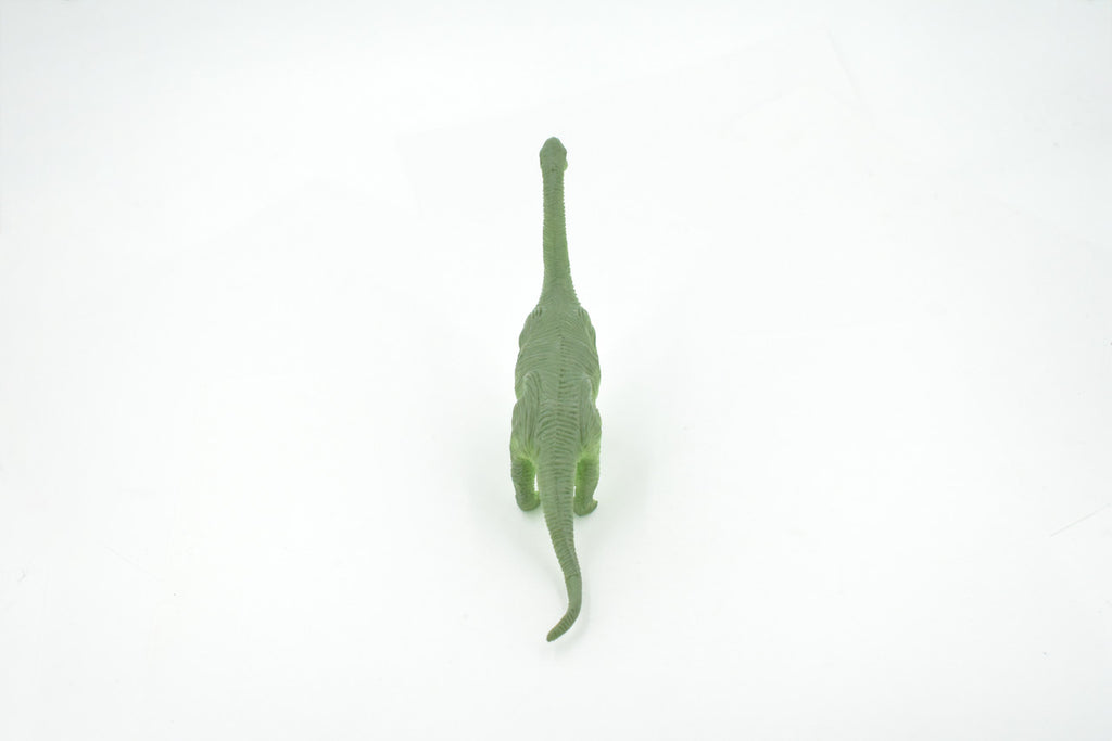 Brontosaurus, Herbivorous Sauropod Dinosaur, High Quality, Hand Painted, Rubber, Realistic, Figure, Model, Replica, Toy, Kids, Educational, Gift,    6"   RI18 B166