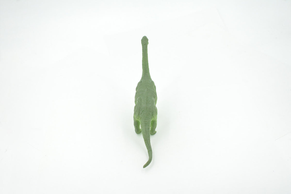 Brontosaurus, Herbivorous Sauropod Dinosaur, High Quality, Hand Painted, Rubber, Realistic, Figure, Model, Replica, Toy, Kids, Educational, Gift,    6"   RI18 B166