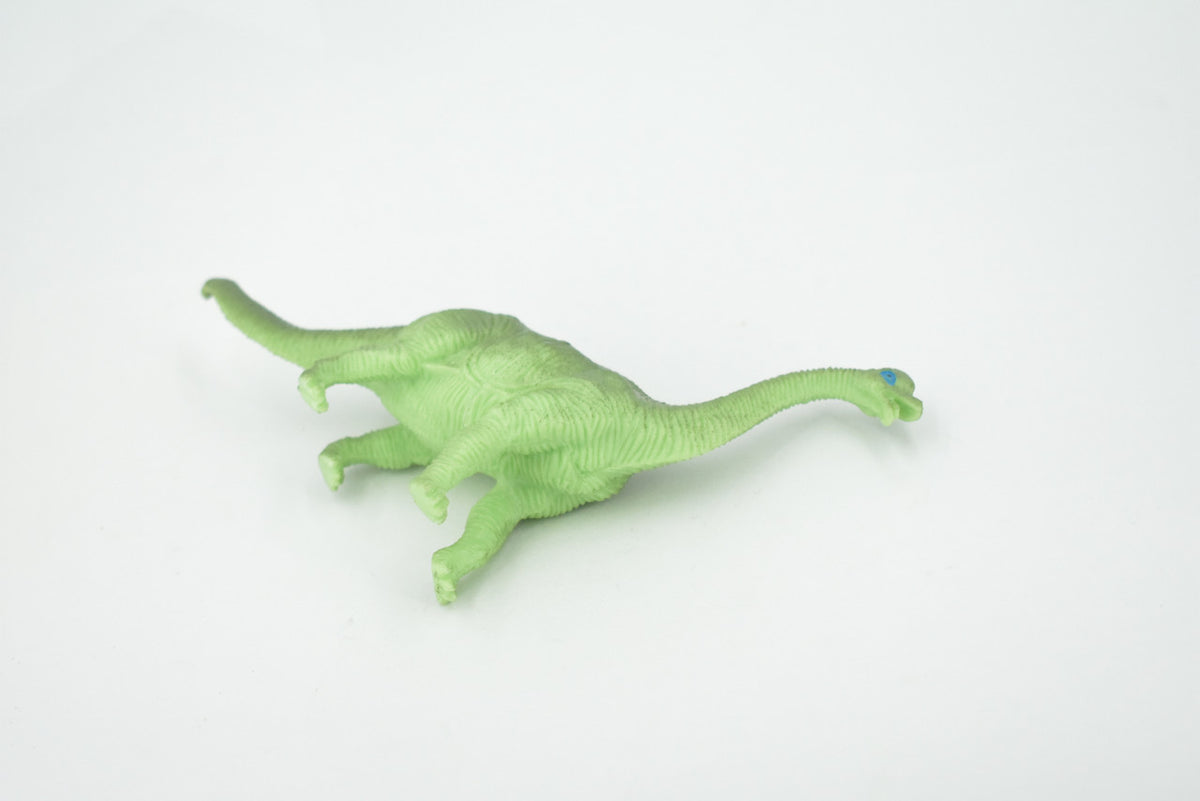 Brontosaurus, Herbivorous Sauropod Dinosaur, High Quality, Hand Painted, Rubber, Realistic, Figure, Model, Replica, Toy, Kids, Educational, Gift,    6"   RI18 B166