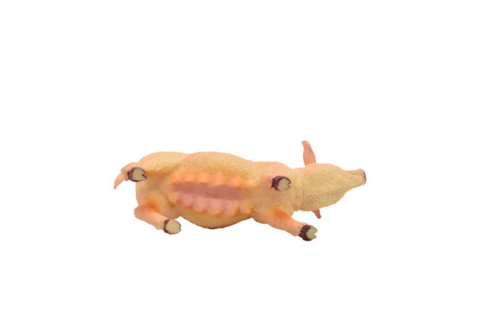 BOTTOM