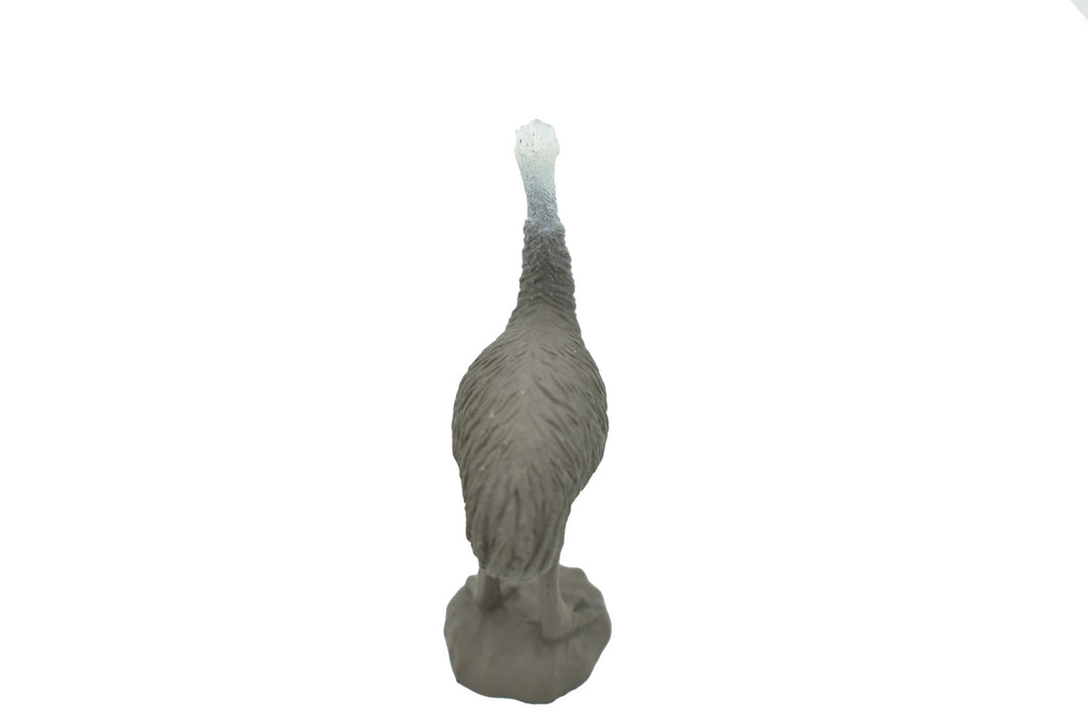 Emu, Australian emu, Flightless Australian Bird, Very Nice Rubber Design, Educational Figure, Lifelike, Diorama Model, Replica, Toy, Kids,  2 3/4  Inches.