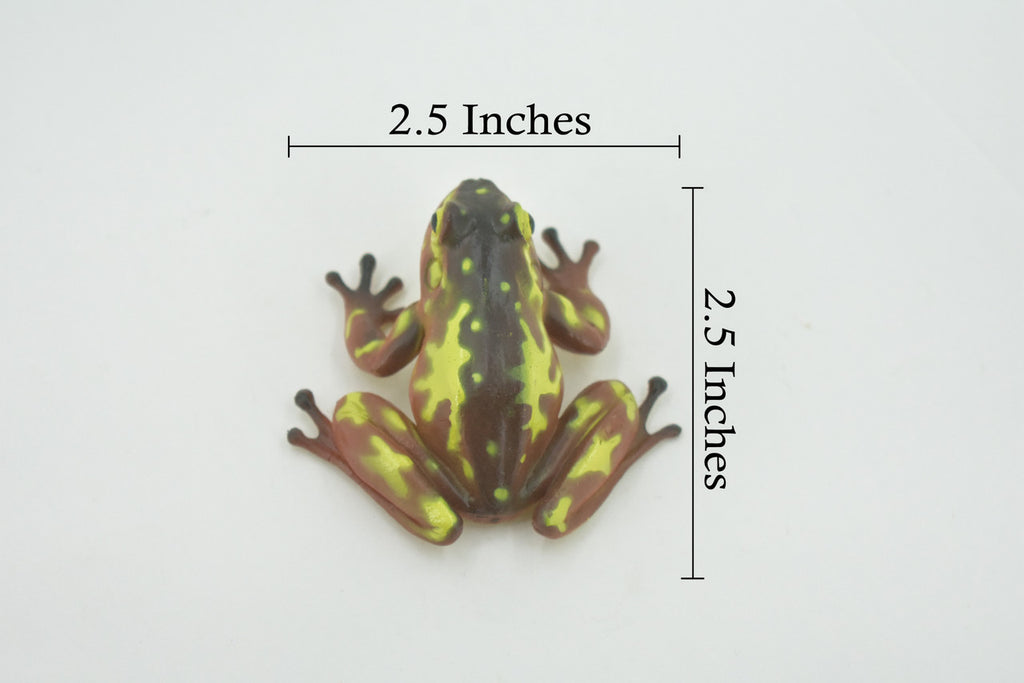Frog, Brown & Yellow, Amphibians, High Quality, Hand Painted, Rubber, Realistic, Model, Replica, Toy, Kids, Educational, Gift,      2 1/2"     RI31 B177