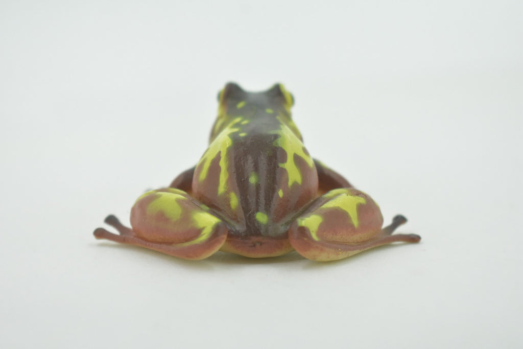 Frog, Brown & Yellow, Amphibians, High Quality, Hand Painted, Rubber, Realistic, Model, Replica, Toy, Kids, Educational, Gift,      2 1/2"     RI31 B177