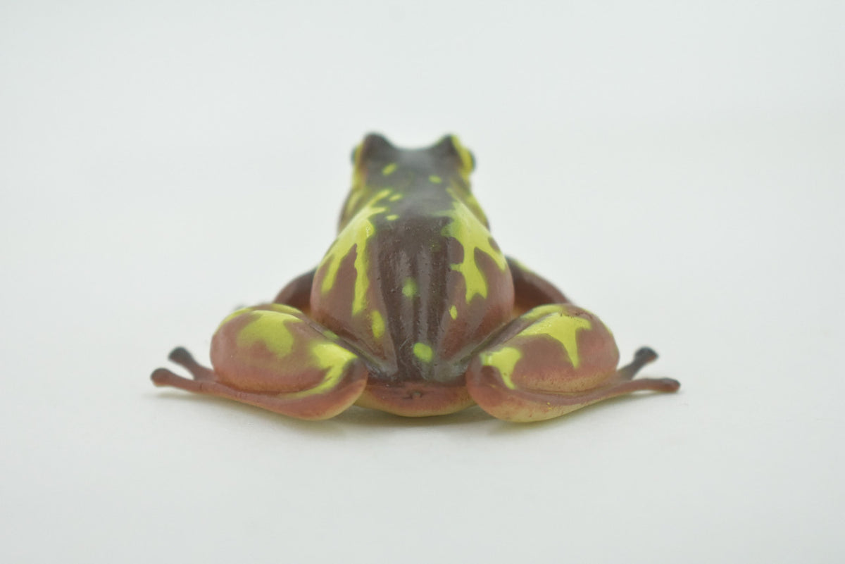 Frog, Brown & Yellow, Amphibians, High Quality, Hand Painted, Rubber, Realistic, Model, Replica, Toy, Kids, Educational, Gift,      2 1/2"     RI31 B177