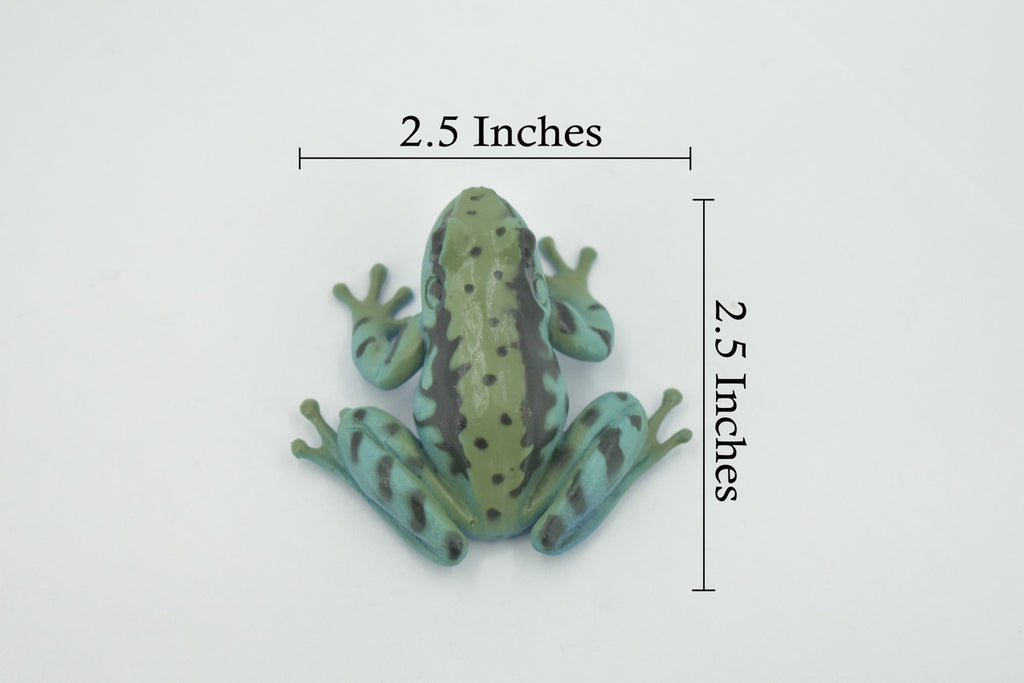 Frog, Green & Blue, Amphibians, High Quality, Hand Painted, Rubber, Realistic, Model, Replica, Toy, Kids, Educational, Gift,      2 1/2"     RI32 B177