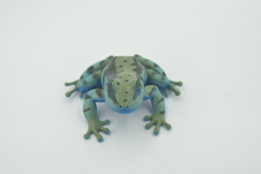 Frog, Green & Blue, Amphibians, High Quality, Hand Painted, Rubber, Realistic, Model, Replica, Toy, Kids, Educational, Gift,      2 1/2"     RI32 B177