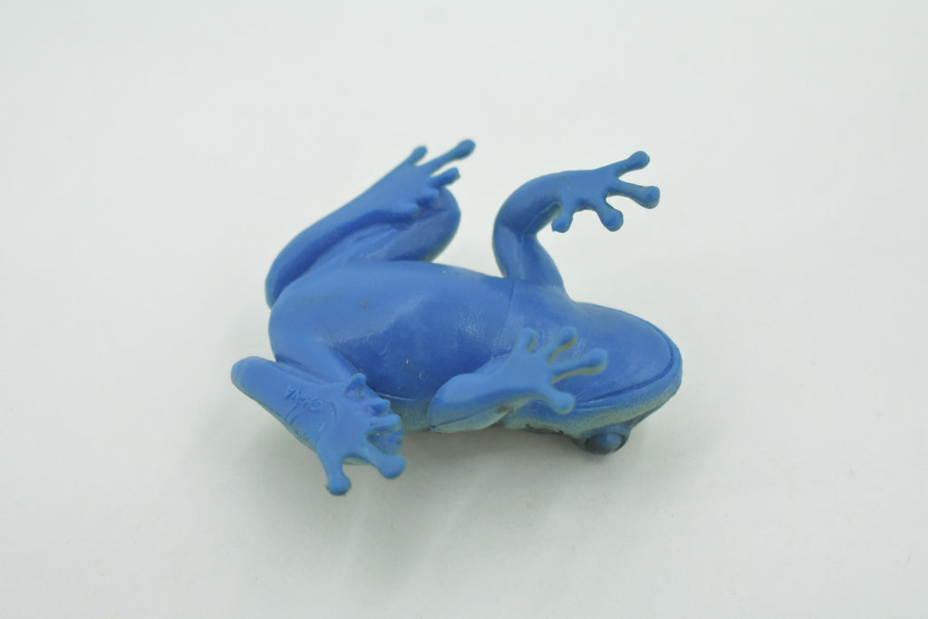 Frog, Green & Blue, Amphibians, High Quality, Hand Painted, Rubber, Realistic, Model, Replica, Toy, Kids, Educational, Gift,      2 1/2"     RI32 B177
