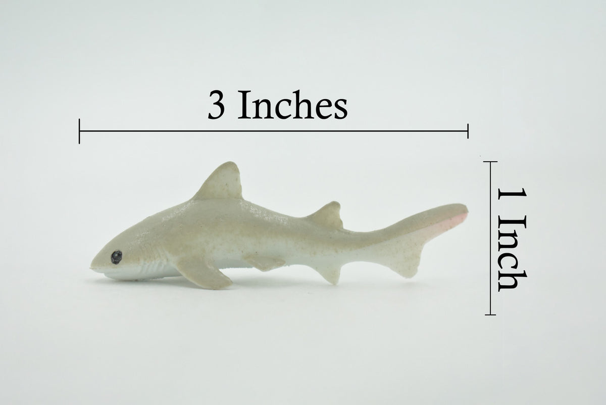 Short-tail nurse shark, High Quality Rubber, Fish Design, Hand Painted, Educational, Realistic, Diorama Figure, Model, Replica,  Gift,      3 Inches.