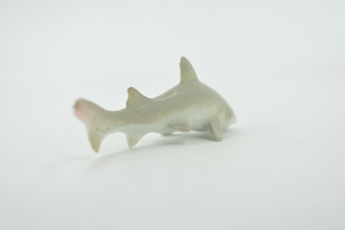 Short-tail nurse shark, High Quality Rubber, Fish Design, Hand Painted, Educational, Realistic, Diorama Figure, Model, Replica,  Gift,      3 Inches.