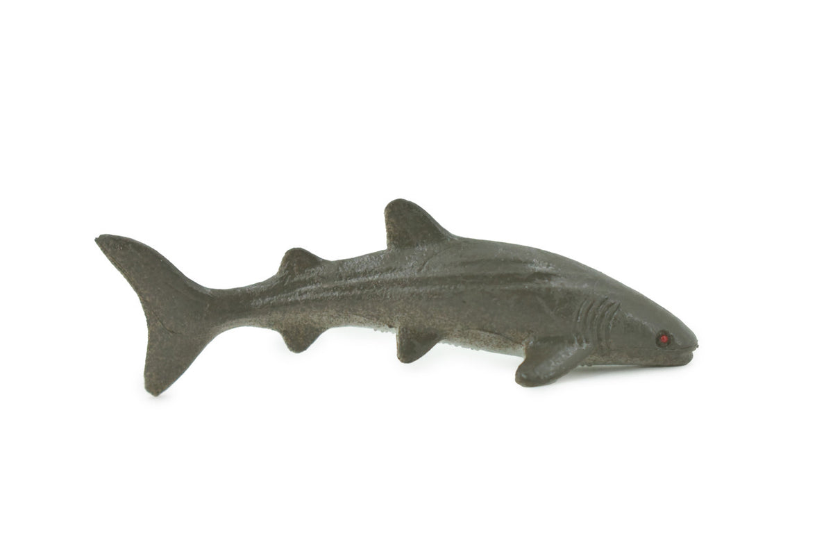 Nurse Shark, High Quality Rubber, Fish Design, Hand Painted, Educational, Realistic, Diorama Figure, Model, Replica,  Gift,      3 Inches.