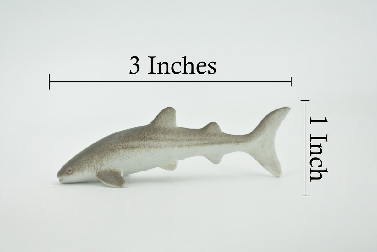Nurse Shark, High Quality Rubber, Fish Design, Hand Painted, Educational, Realistic, Diorama Figure, Model, Replica,  Gift,      3 Inches.