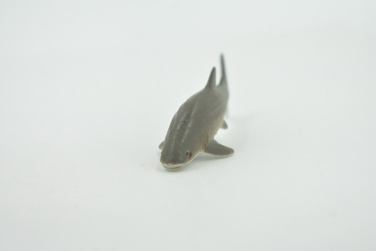 Nurse Shark, High Quality Rubber, Fish Design, Hand Painted, Educational, Realistic, Diorama Figure, Model, Replica,  Gift,      3 Inches.     IM05 B228