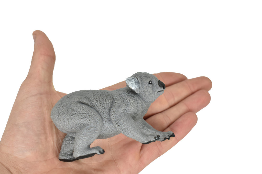 REAL SIZE IN THE HAND