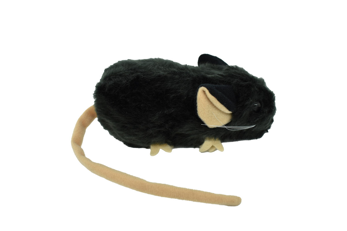 Mouse, Mice, Black, House Mouse, Mus musculus, Plush Design, Educational, Figure, Replica, Gift,      12" 