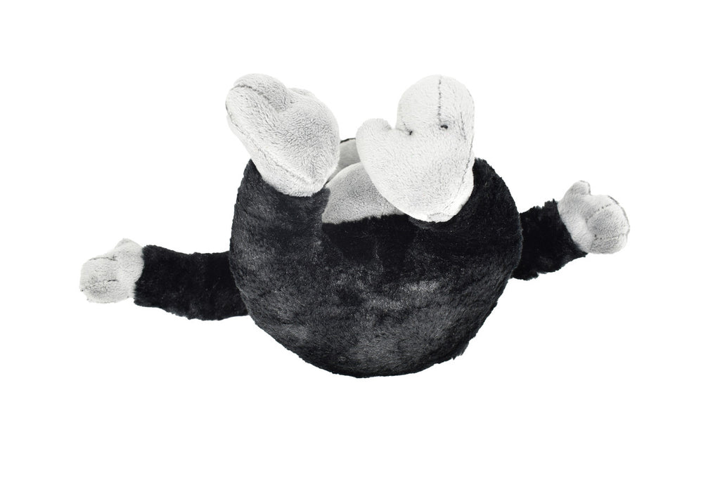 BOTTOM