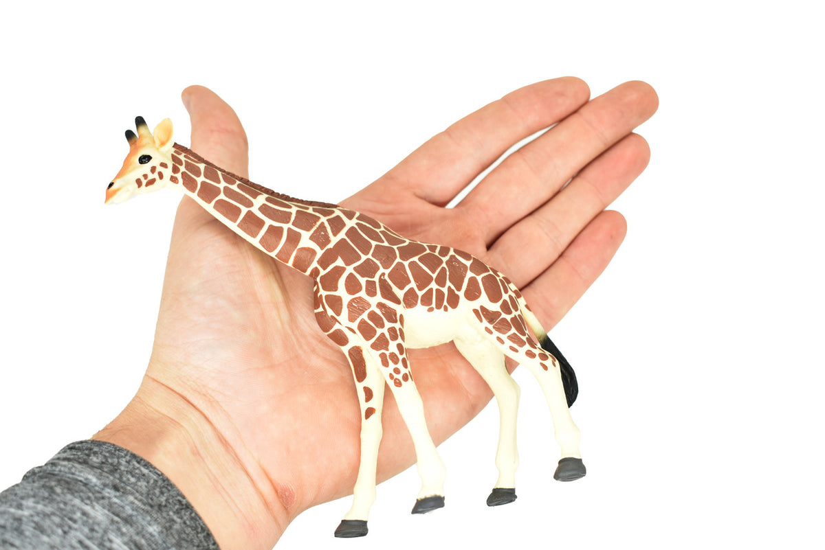 REAL SIZE IN THE HAND