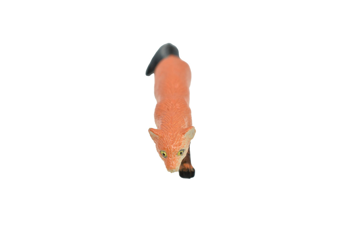 Ring Tailed Cat, Bassariscus astutus, Hand Painted, Realistic, Very Nice Rubber Design, Educational, Diorama Model, Lifelike, Toy,  3 Inches. 