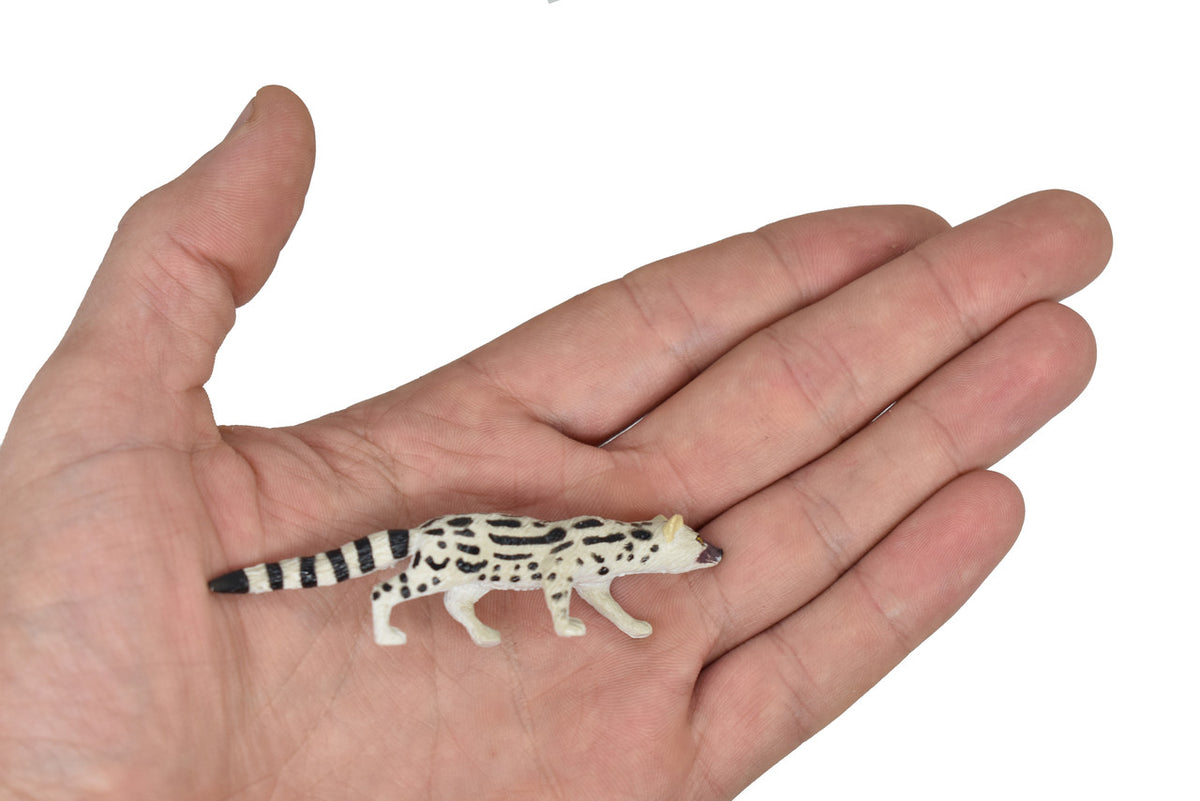 Abyssinian genet, or the Abyssinian civet, Hand Painted, Realistic, Very Nice Rubber Design, Educational, Diorama Model, Lifelike, Toy, 3 Inches. 
