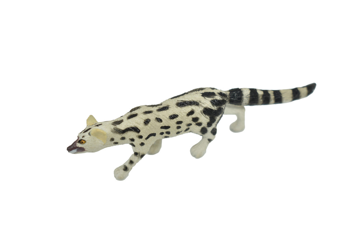 Abyssinian genet, or the Abyssinian civet, Hand Painted, Realistic, Very Nice Rubber Design, Educational, Diorama Model, Lifelike, Toy, 3 Inches. 