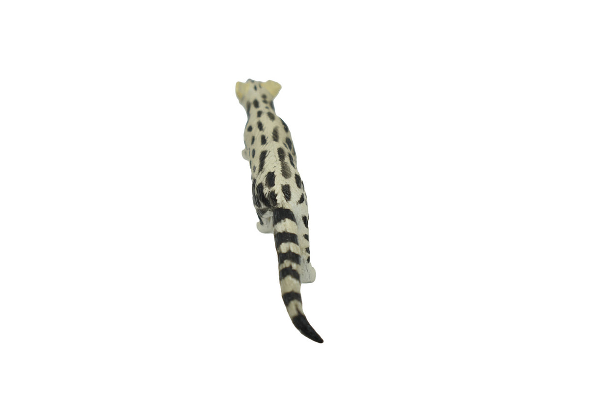 Abyssinian genet, or the Abyssinian civet, Hand Painted, Realistic, Very Nice Rubber Design, Educational, Diorama Model, Lifelike, Toy, 3 Inches. 