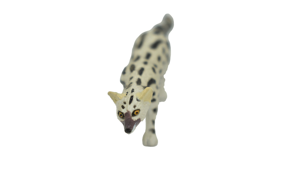 Abyssinian genet, or the Abyssinian civet, Hand Painted, Realistic, Very Nice Rubber Design, Educational, Diorama Model, Lifelike, Toy, 3 Inches. 