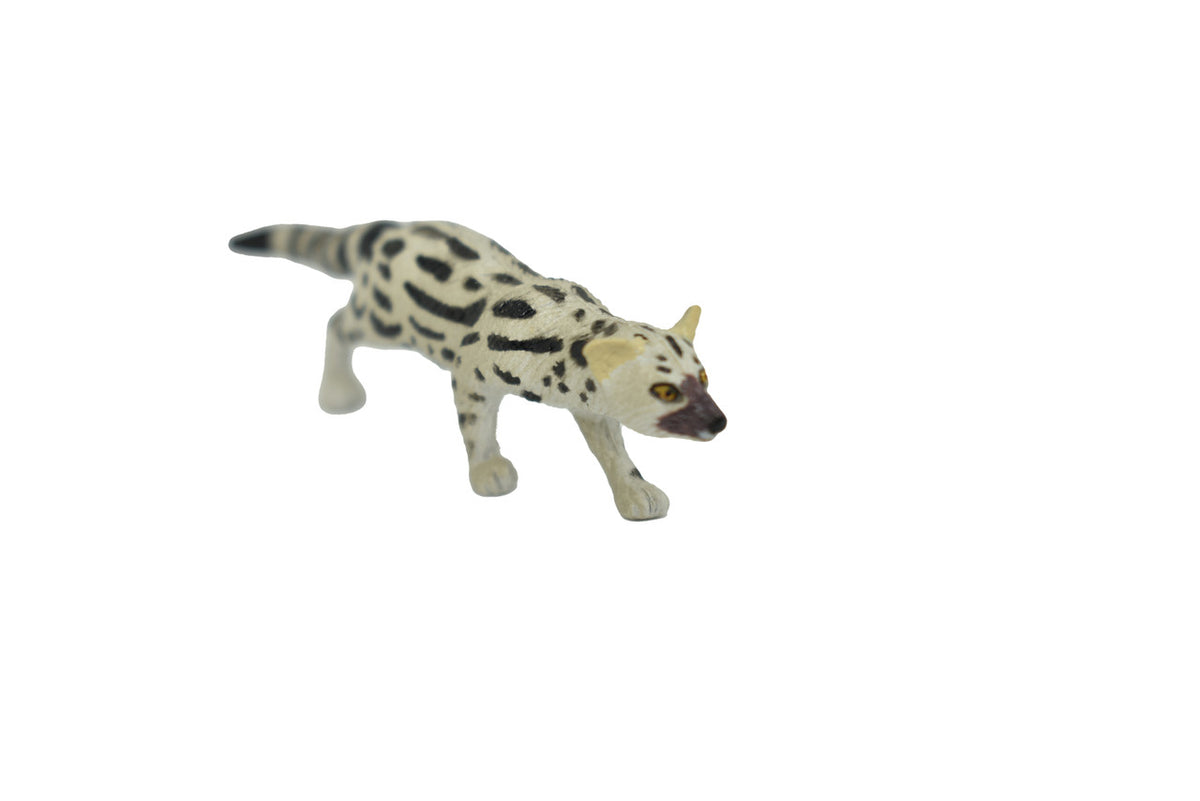 Abyssinian genet, or the Abyssinian civet, Hand Painted, Realistic, Very Nice Rubber Design, Educational, Diorama Model, Lifelike, Toy, 3 Inches. 
