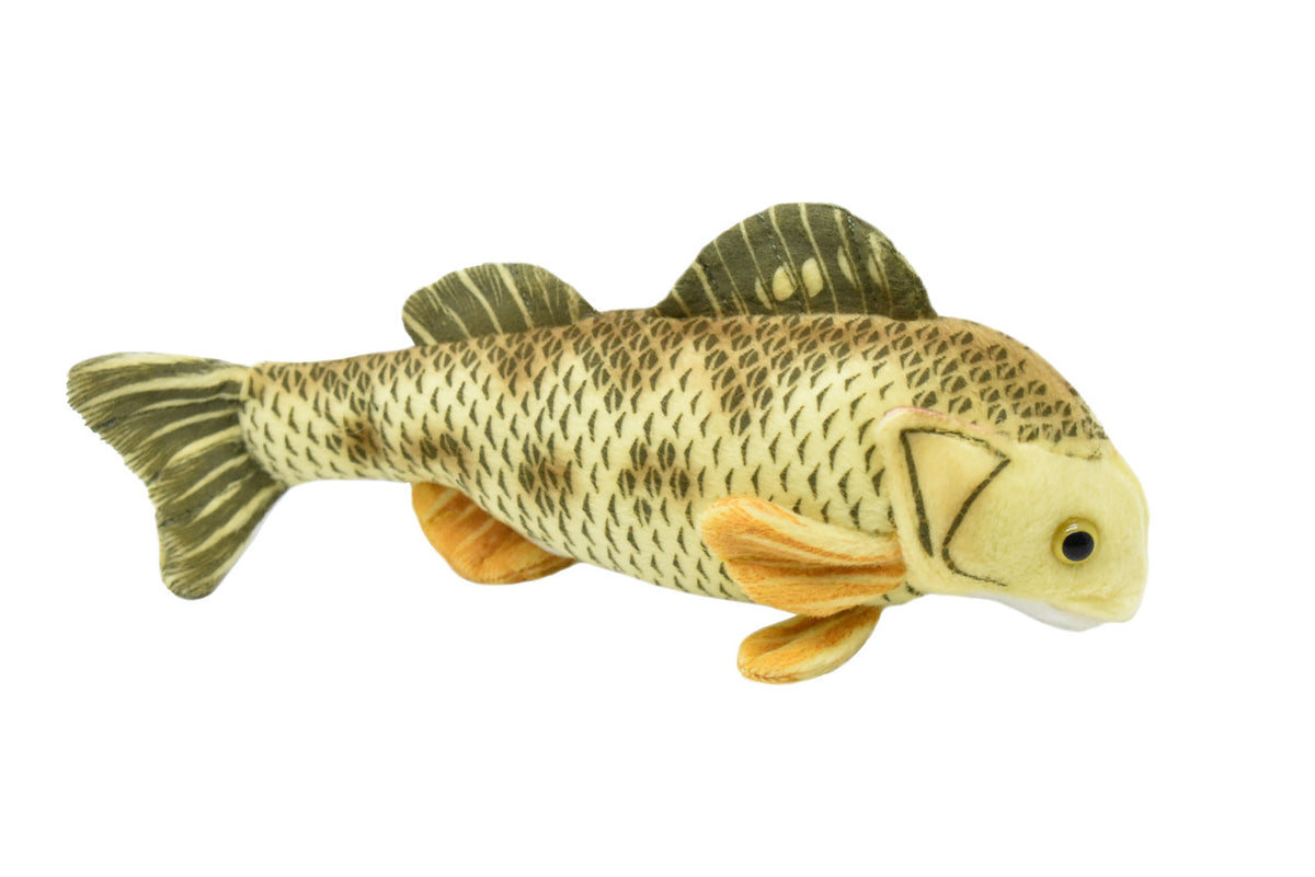 Yellow Perch, Very Nice Plush Fish, Stuffed Animal, Educational, Toy, Kids, Realistic Figure, Gift,       10"