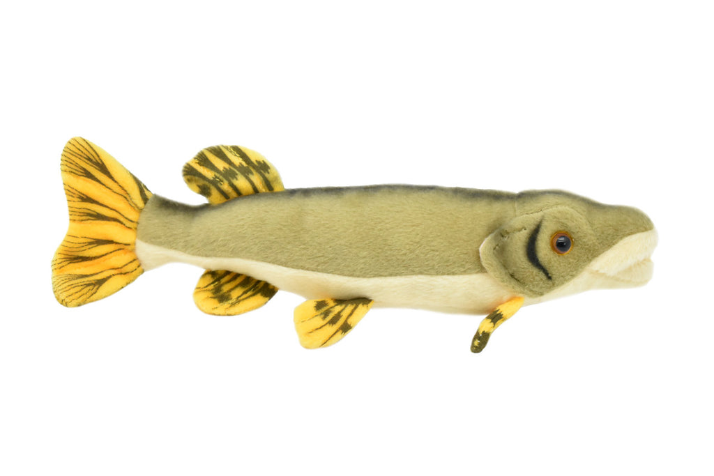 Pike, Great Northern Pike, Very Nice Plush Fish, Stuffed Animal, Educational, Toy, Kids, Realistic Figure, Gift,      10"  