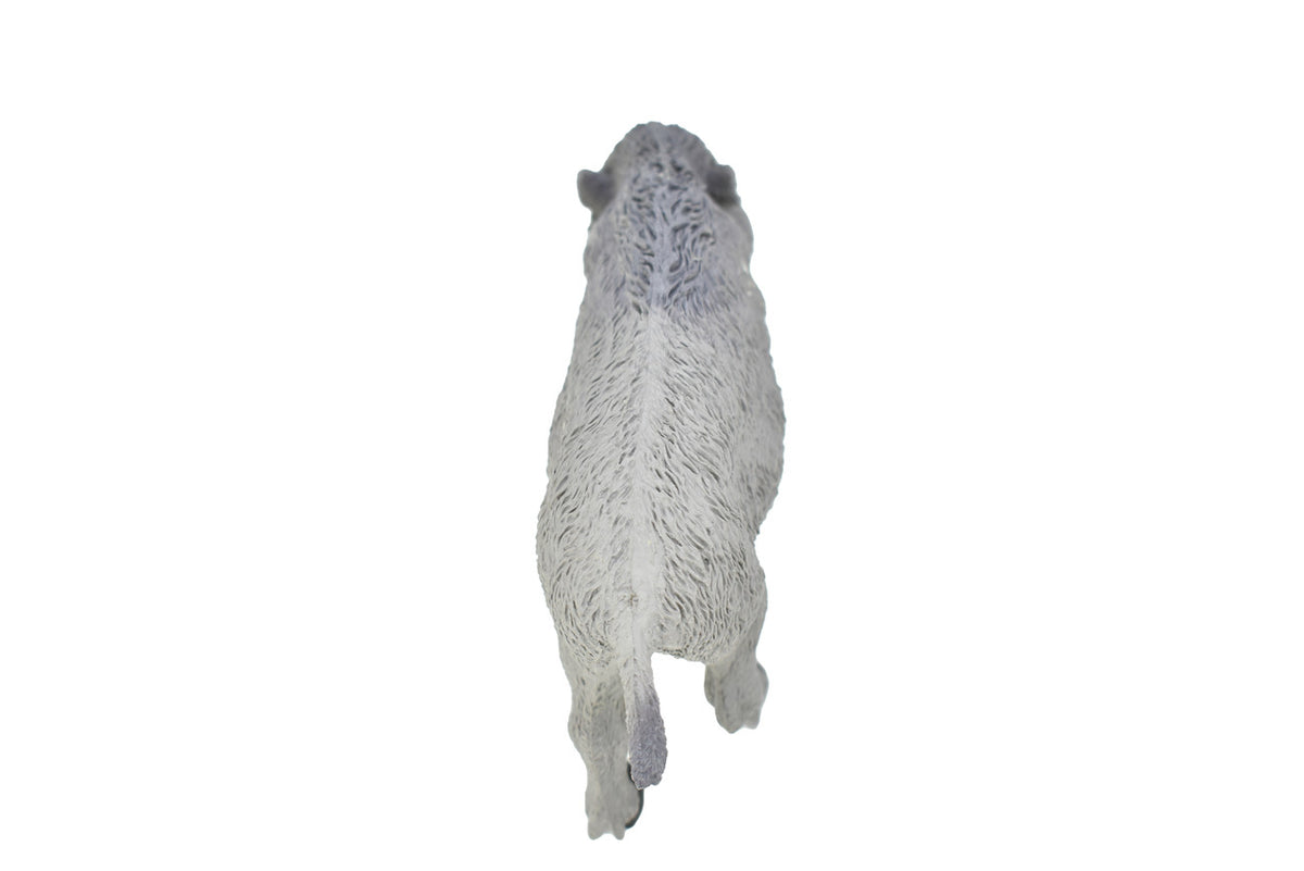 Boar, Wild Pig, Very Nice Plastic Animal, Educational, Realistic Hand Painted Figure, Lifelike Model, Figurine, Replica, Gift,   5 1/2"    F159 B24