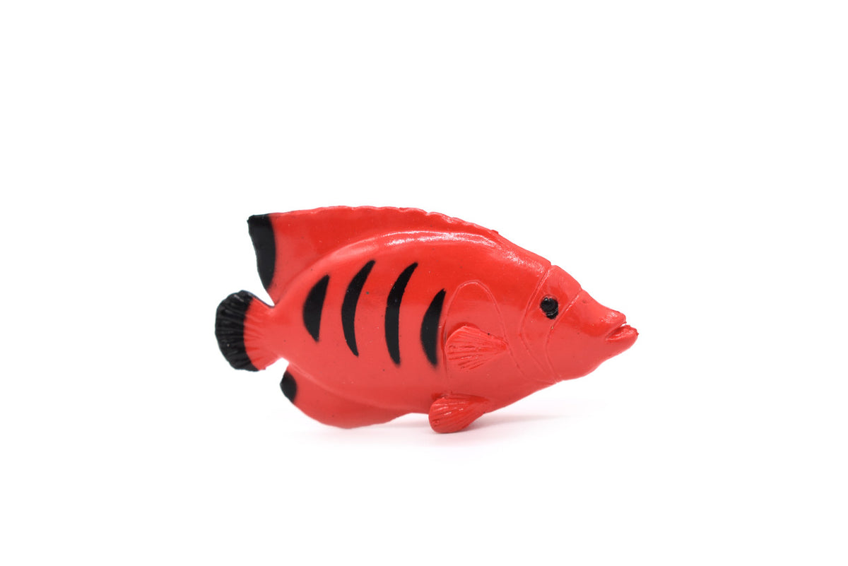 Angelfish, Flame Angel Fish, Tropical, Rubber Fish Design, Realistic Figure, Educational, Figure, Lifelike, Toy Model, Figurine, Replica, Gift,       2 1/4"      F1786 B145
