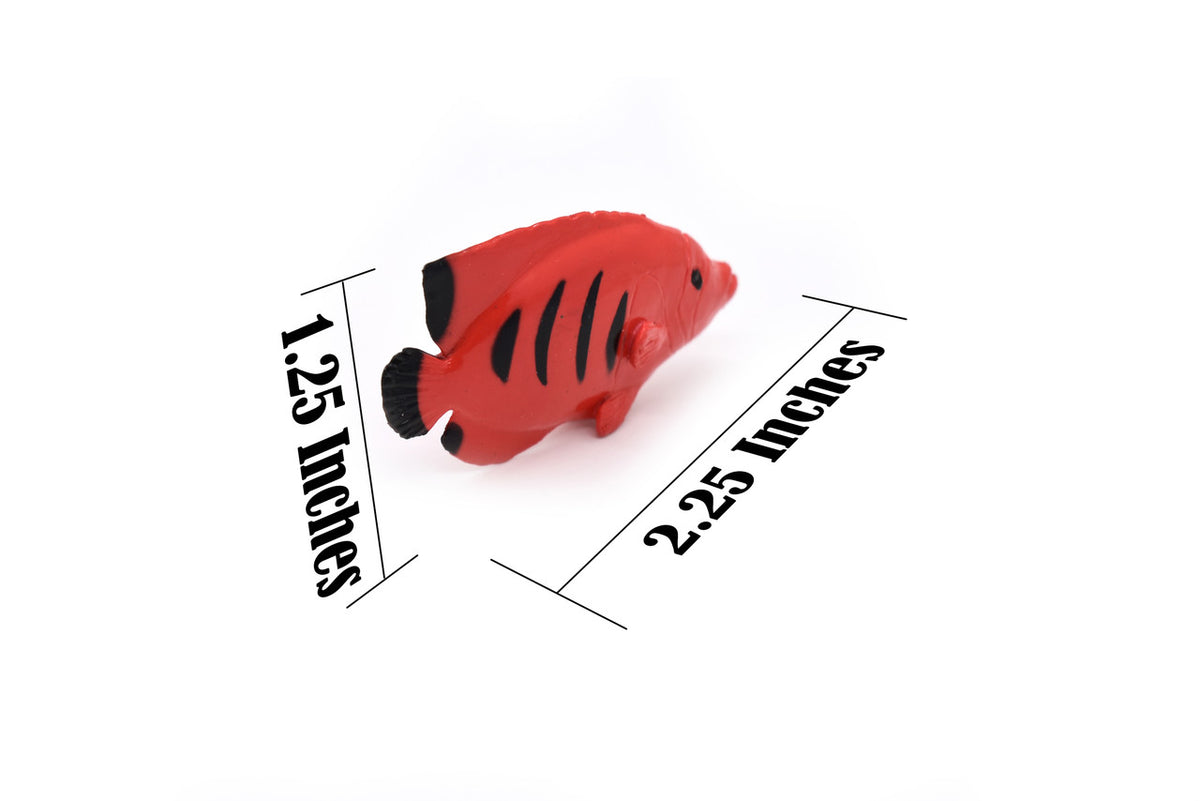 Angelfish, Flame Angel Fish, Tropical, Rubber Fish Design, Realistic Figure, Educational, Figure, Lifelike, Toy Model, Figurine, Replica, Gift,       2 1/4"      F1786 B145