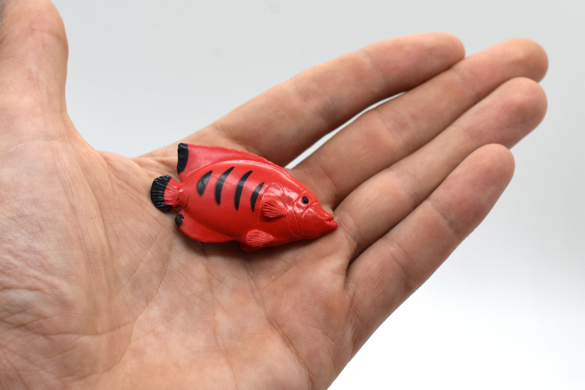 Angelfish, Flame Angel Fish, Tropical, Rubber Fish Design, Realistic Figure, Educational, Figure, Lifelike, Toy Model, Figurine, Replica, Gift,       2 1/4"      F1786 B145