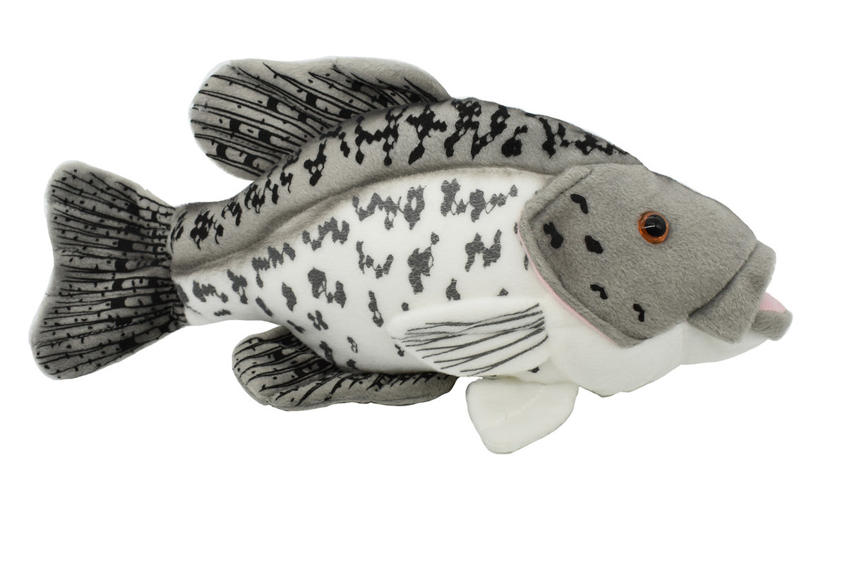 Black Crappie, Pappermouths, Very Nice Plush Fish, Stuffed Animal, Educational, Toy, Kids, Realistic Figure, Gift,        14" 