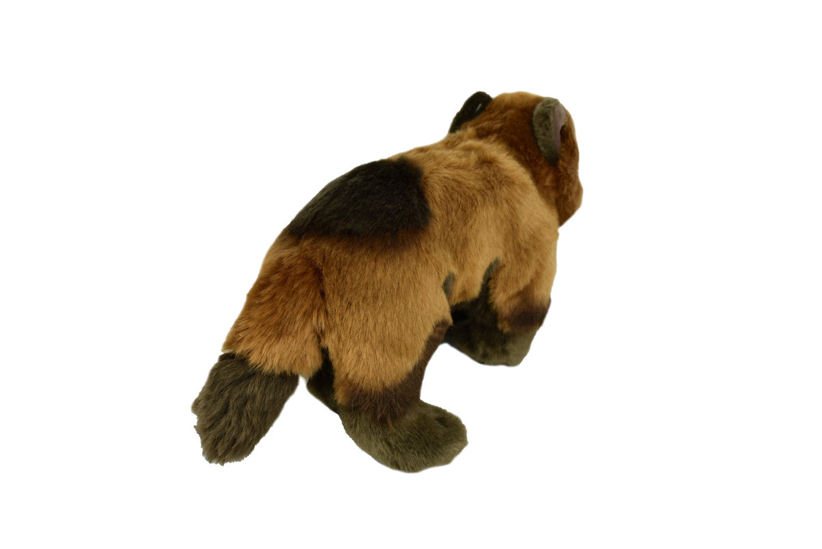 Wolverine, Very Nice Plush, Stuffed Animal, Educational, Realistic Figure, Lifelike Model, Replica, Gift,        9 1/2"        F4003 BB52