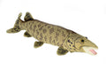 Muskellunge, Muskie, Musky, Very Nice Plush Fish, Stuffed Animal, Educational, Toy, Kids, Realistic Figure, Gift     10" 