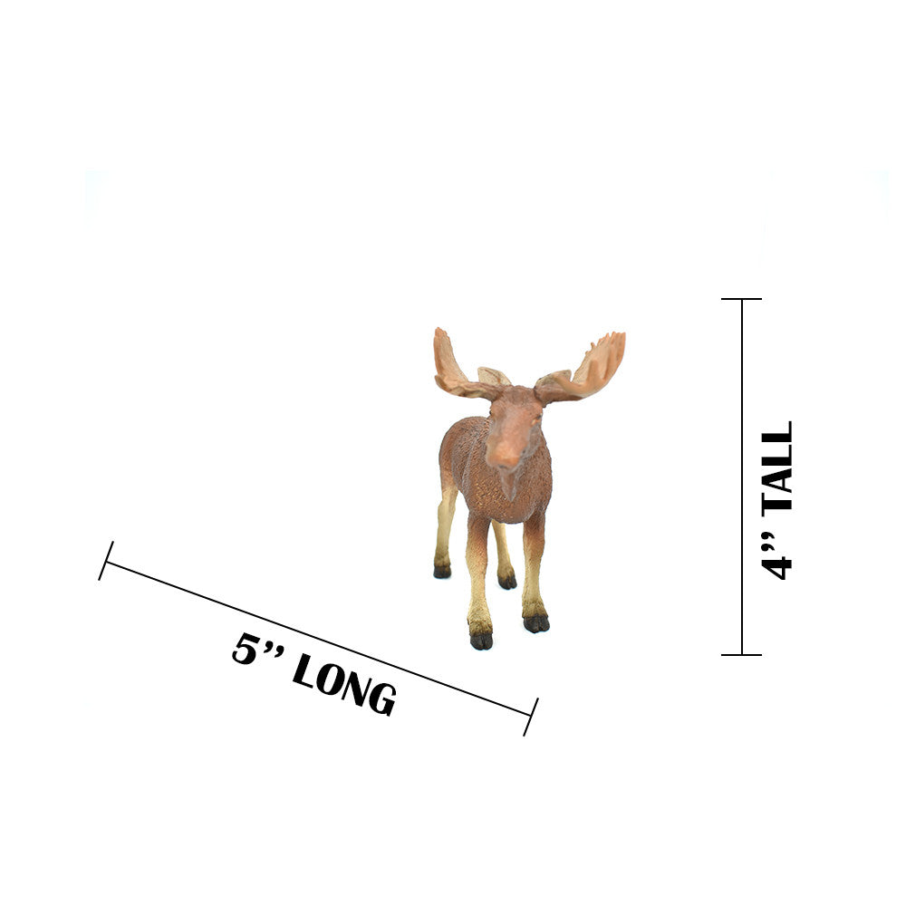 MEASUREMENTS