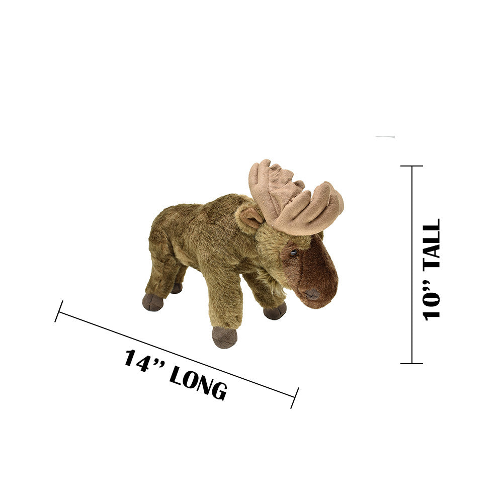 MEASUREMENTS