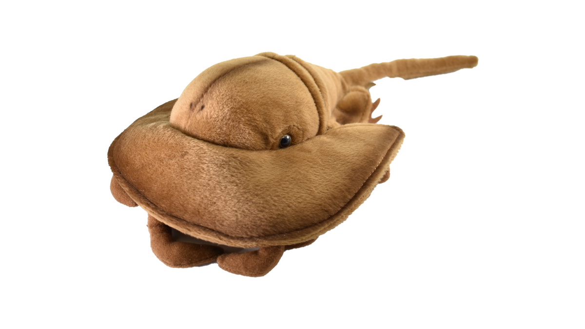 Horseshoe Crab Plush Toy, Realistic Stuffed Animal, Stuffed Crab, Plush Crustaceans, Design, Educational, Toy, Kids, Realistic Figure, Lifelike Soft Plush Crab   12"      F4502 BB53