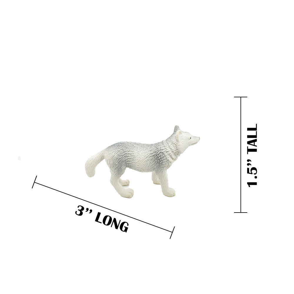 MEASUREMENTS