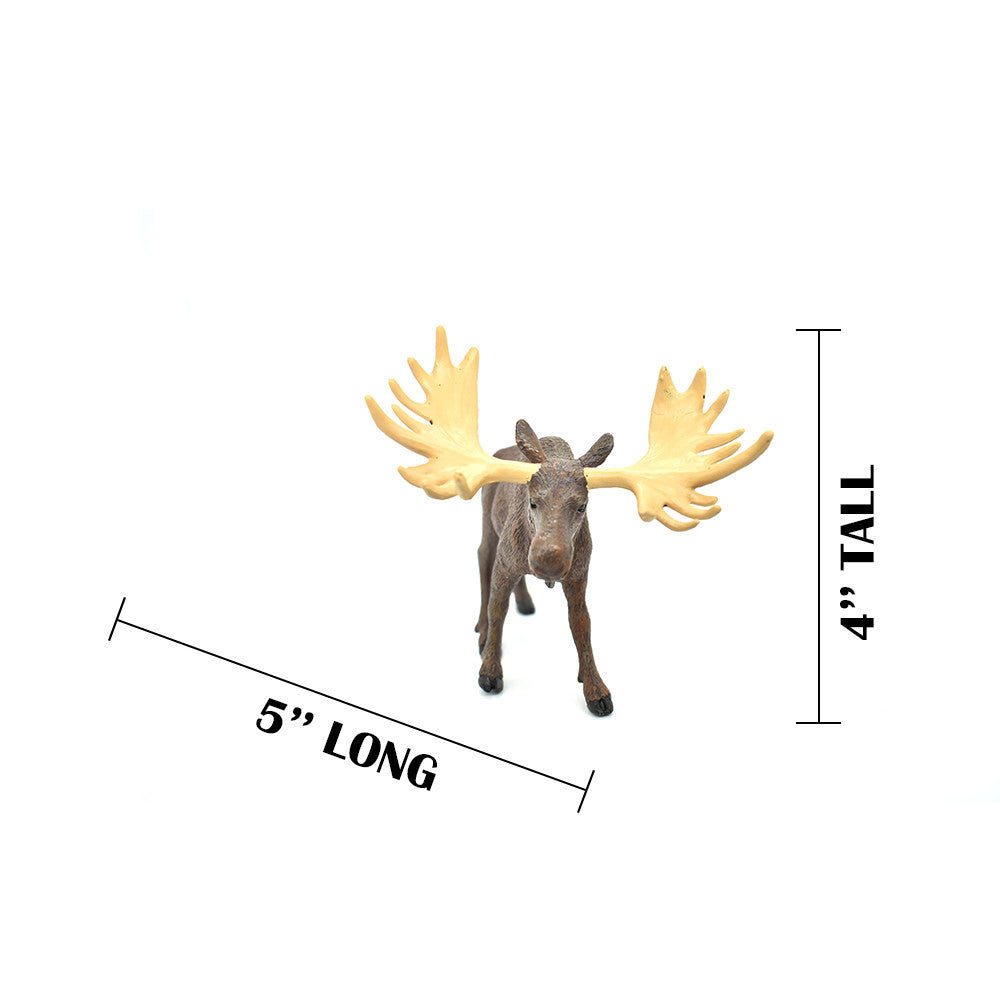 MEASUREMENTS