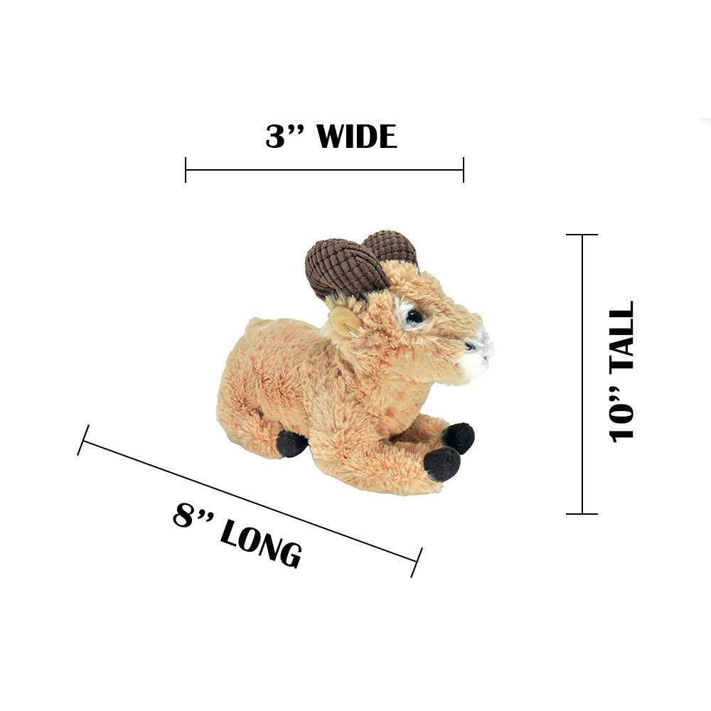 MEASUREMENTS