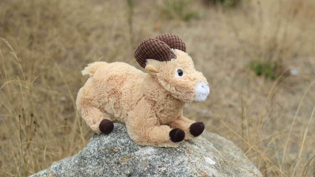 PLUSH SOFT