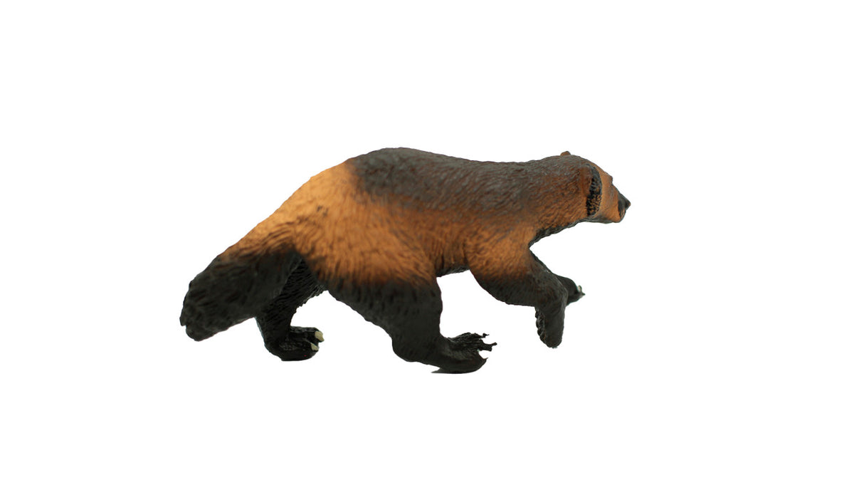 Wolverine, Museum Quality Rubber Animal Toy, Educational, Realistic Hand Painted Figure, Lifelike Model, Figurine, Replica, Gift,