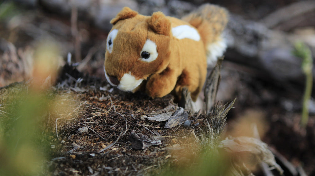 Chipmunk Plush Toy, Realistic Stuffed Animal,  Lifelike, Stuffed Chipmunk, Soft, Toy, Educational, Kids, Gift      9"      F4509 BB8