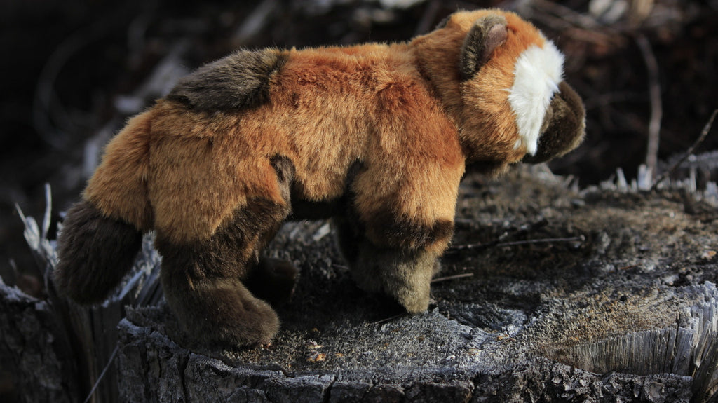 Wolverine, Very Nice Plush, Stuffed Animal, Educational, Realistic Figure, Lifelike Model, Replica, Gift,        9 1/2"        F4003 BB52
