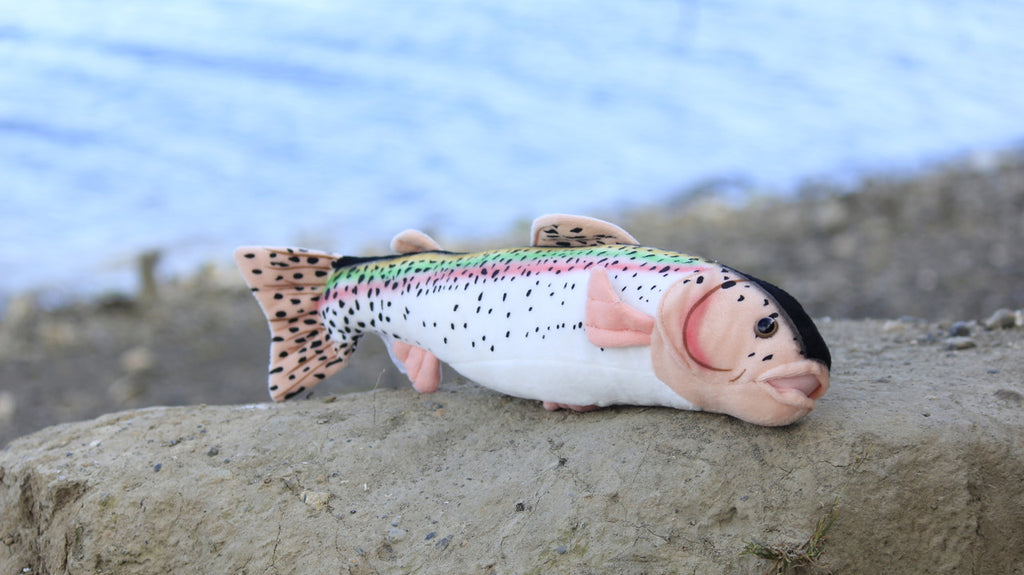 Rainbow Trout Plush Toy, Realistic Stuffed Animal, Soft Plush Fish, Stuffed Fish, Educational, Toy, Kids, Gift,      17"       F2005 BB55