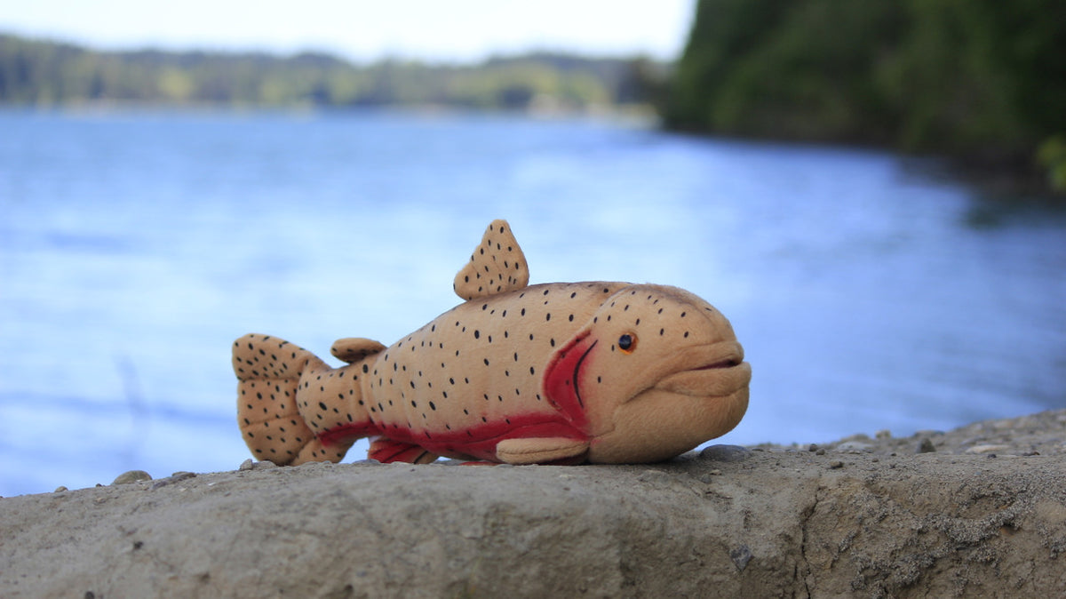 Cutthroat Trout, Very Nice Plush Fish, Stuffed Animal, Educational, Toy, Kids, Realistic Figure, Gift,          10"