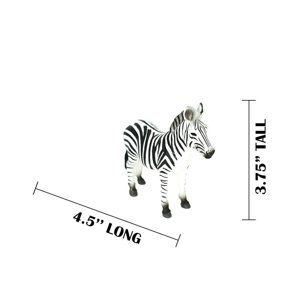 MEASUREMENTS
