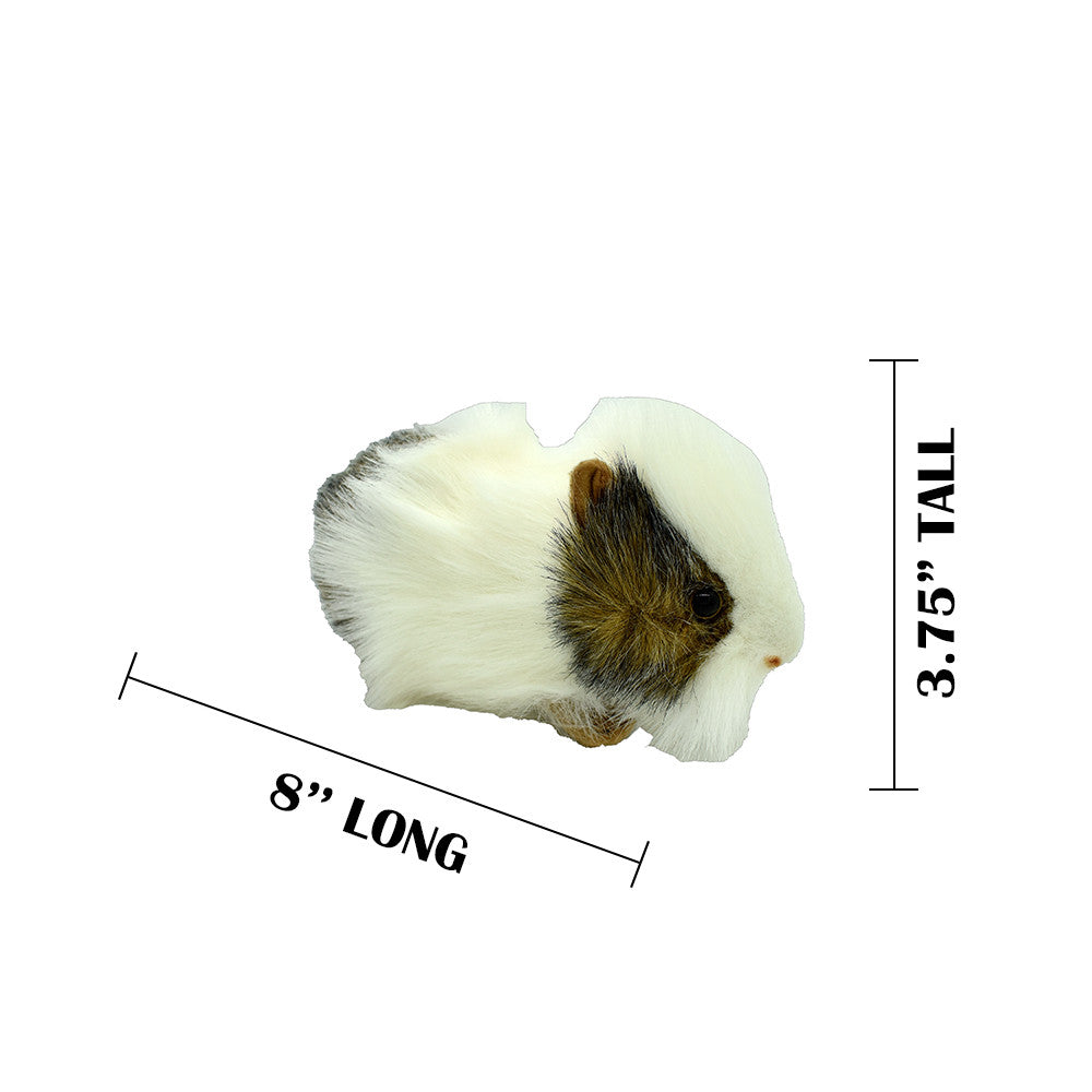 MEASUREMENTS